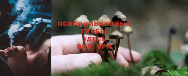 наркотики Беломорск