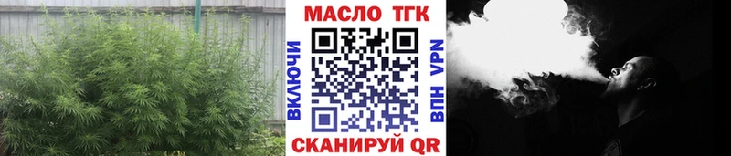 где можно купить наркотик  Тамбов  blacksprut ссылка  Дистиллят ТГК THC oil 